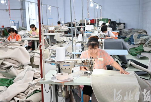 河北深泽 合作共赢促发展，家居用品产业绽放新活力